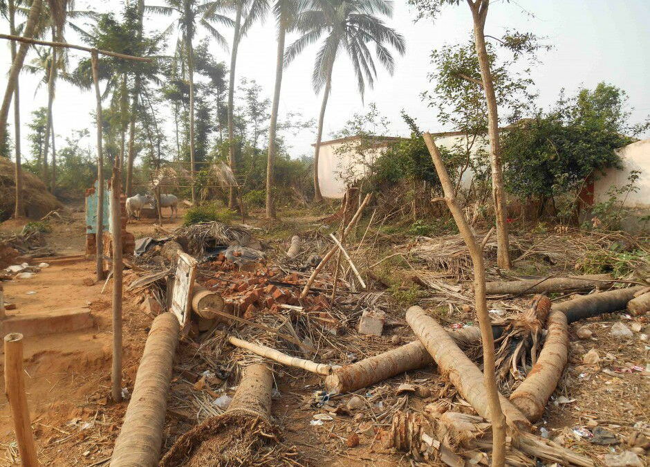 IDS Conducts Ground Assessment After Cyclone Phailin