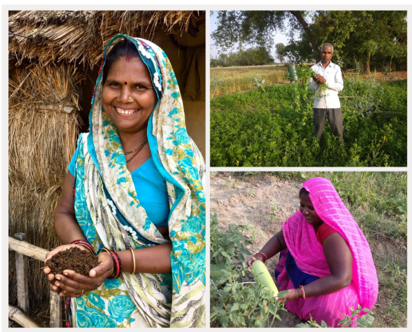 November 2021 Newsletter