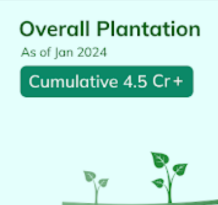 June 2024 Newsletter